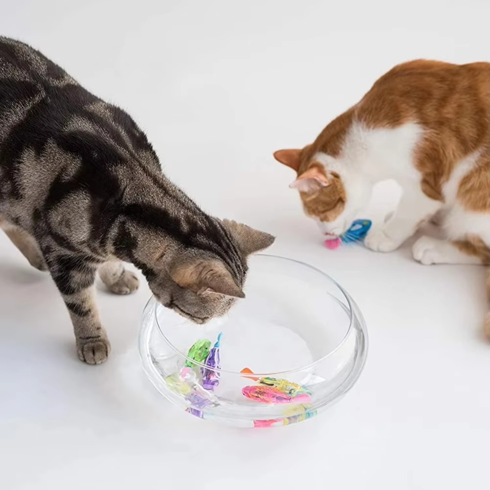 New Cat Toy LED Interactive Sw – Electronics New Gadgets recenzja i cena